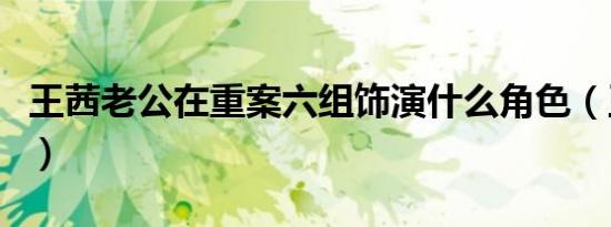 王茜老公在重案六组饰演什么角色（王茜老公）