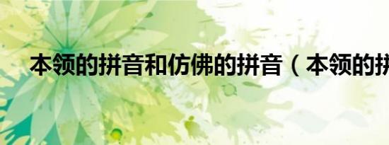本领的拼音和仿佛的拼音（本领的拼音）
