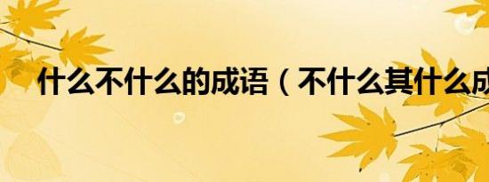 什么不什么的成语（不什么其什么成语）