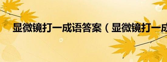 显微镜打一成语答案（显微镜打一成语）