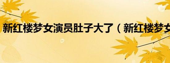 新红楼梦女演员肚子大了（新红楼梦女演员）