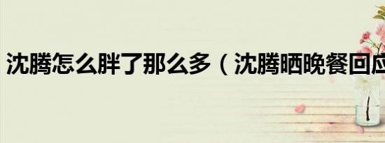沈腾怎么胖了那么多（沈腾晒晚餐回应长胖）