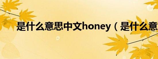 是什么意思中文honey（是什么意思）
