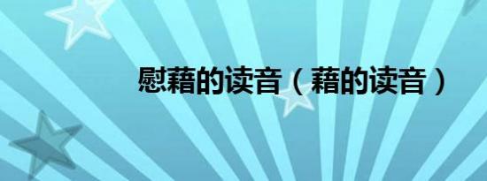 慰藉的读音（藉的读音）