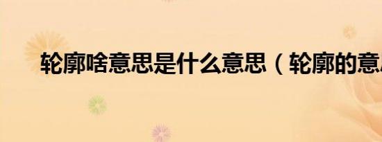 轮廓啥意思是什么意思（轮廓的意思）