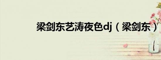 梁剑东艺涛夜色dj（梁剑东）
