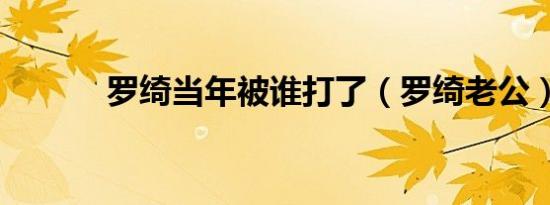 罗绮当年被谁打了（罗绮老公）
