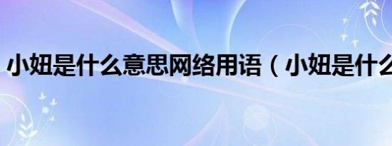 小妞是什么意思网络用语（小妞是什么意思）