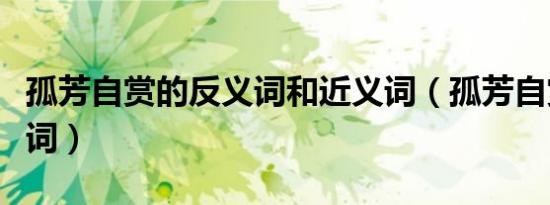 孤芳自赏的反义词和近义词（孤芳自赏的反义词）