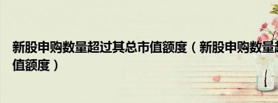 新股申购数量超过其总市值额度（新股申购数量超出其总市值额度）