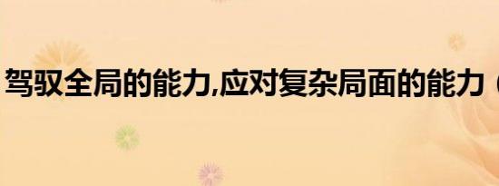 驾驭全局的能力,应对复杂局面的能力（驾驭）