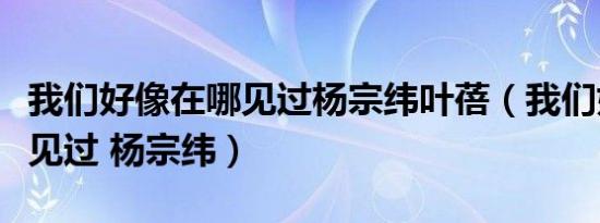 我们好像在哪见过杨宗纬叶蓓（我们好像在哪见过 杨宗纬）
