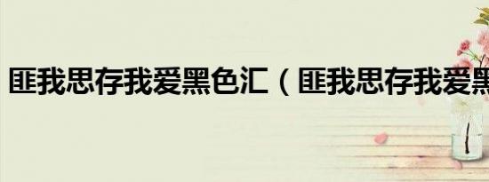 匪我思存我爱黑色汇（匪我思存我爱黑社会）