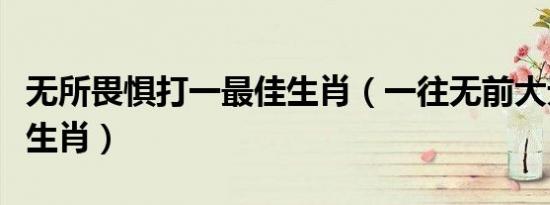无所畏惧打一最佳生肖（一往无前大无畏打一生肖）