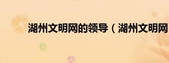 湖州文明网的领导（湖州文明网）