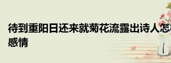 待到重阳日还来就菊花流露出诗人怎样的思想感情