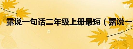 露说一句话二年级上册最短（露说一句话）