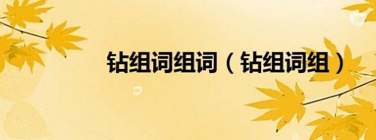 钻组词组词（钻组词组）