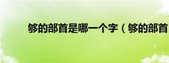 够的部首是哪一个字（够的部首）