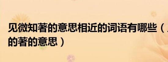 见微知著的意思相近的词语有哪些（见微知著的著的意思）