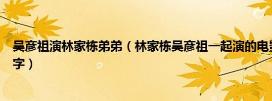 吴彦祖演林家栋弟弟（林家栋吴彦祖一起演的电影叫什么名字）