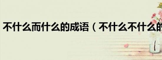 不什么而什么的成语（不什么不什么的成语）