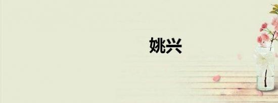 姚兴