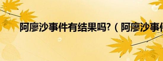 阿廖沙事件有结果吗?（阿廖沙事件）