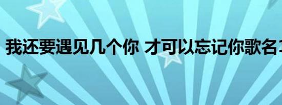 我还要遇见几个你 才可以忘记你歌名11个字