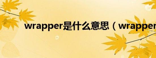 wrapper是什么意思（wrapper）