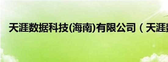 天涯数据科技(海南)有限公司（天涯数据）