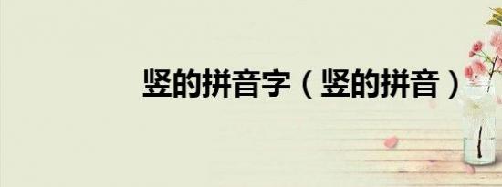 竖的拼音字（竖的拼音）