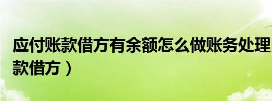 应付账款借方有余额怎么做账务处理（应付账款借方）