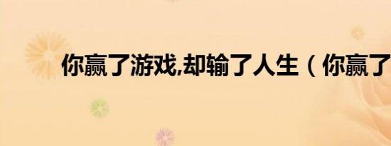 你赢了游戏,却输了人生（你赢了）