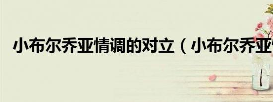 小布尔乔亚情调的对立（小布尔乔亚情调）