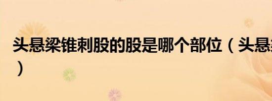 头悬梁锥刺股的股是哪个部位（头悬梁锥刺股）