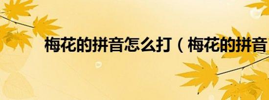 梅花的拼音怎么打（梅花的拼音）