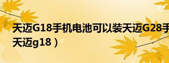 天迈G18手机电池可以装天迈G28手机吗?（天迈g18）