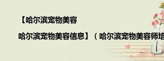 【哈尔滨宠物美容|哈尔滨宠物美容信息】（哈尔滨宠物美容师培训）