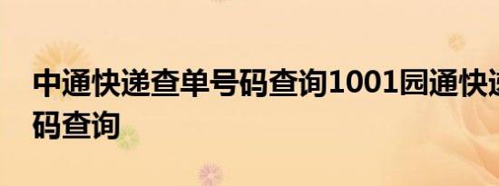 中通快递查单号码查询1001园通快递查单号码查询