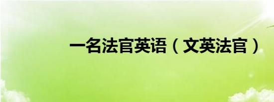 一名法官英语（文英法官）