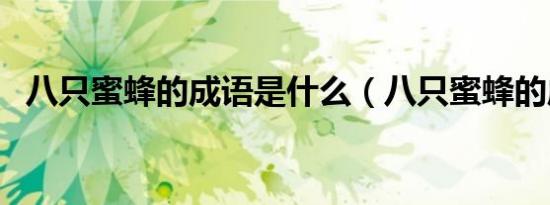 八只蜜蜂的成语是什么（八只蜜蜂的成语）