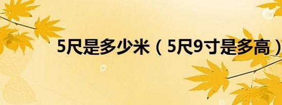 5尺是多少米（5尺9寸是多高）