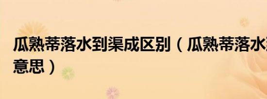 瓜熟蒂落水到渠成区别（瓜熟蒂落水到渠成的意思）