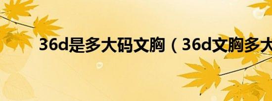 36d是多大码文胸（36d文胸多大）