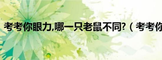 考考你眼力,哪一只老鼠不同?（考考你眼力）