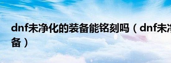 dnf未净化的装备能铭刻吗（dnf未净化的装备）