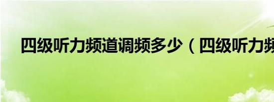 四级听力频道调频多少（四级听力频道）