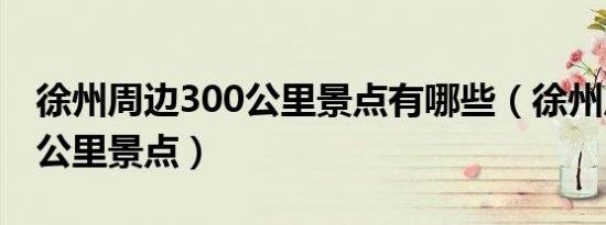 徐州周边300公里景点有哪些（徐州周边300公里景点）