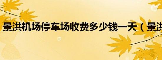 景洪机场停车场收费多少钱一天（景洪机场）